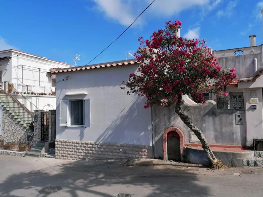 Sweet Home, Anacapri Εξωτερικό φωτογραφία